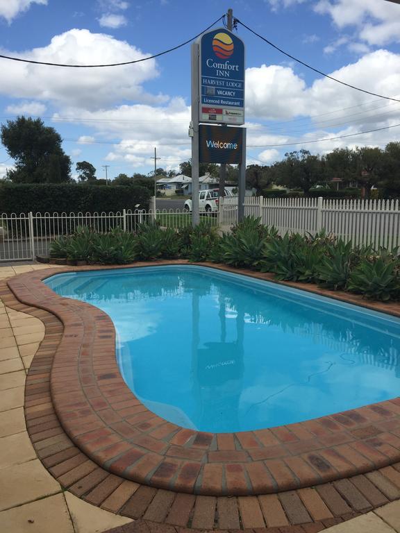 Harvest Lodge Motel - Gunnedah Esterno foto